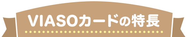 VIASOカードの特長
