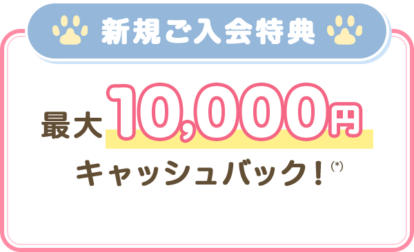 新規ご入会特典 最大10,000円をキャッシュバック！(*)