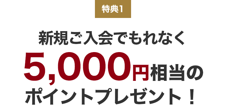 特典1 新規ご入会でもれなく5,000円相当のポイントプレゼント!