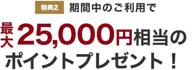 特典2 期間中のご利用で最大25,000円相当のポイントプレゼント!