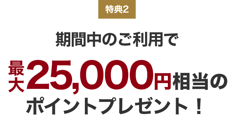 特典2 期間中のご利用で最大25,000円相当のポイントプレゼント!