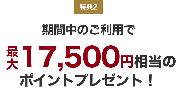 特典2 期間中のご利用で最大17,500円相当のポイントプレゼント!