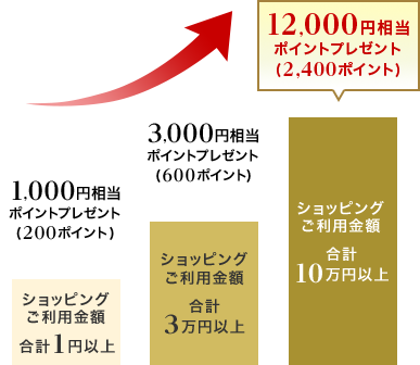 1,000円相当ポイントプレゼント(200ポイント) ショッピングご利用金額合計1円以上 3,000円相当ポイントプレゼント(600ポイント) ショッピングご利用金額合計3万円以上 12,000円相当ポイントプレゼント(2,400ポイント) ショッピングご利用金額合計10万円以上
