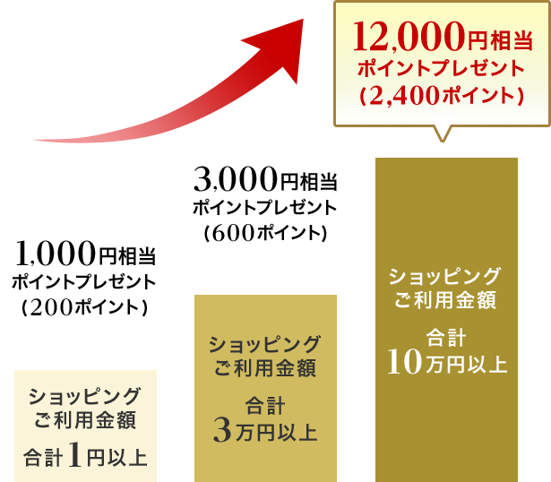 1,000円相当ポイントプレゼント(200ポイント) ショッピングご利用金額合計1円以上 3,000円相当ポイントプレゼント(600ポイント) ショッピングご利用金額合計3万円以上 12,000円相当ポイントプレゼント(2,400ポイント) ショッピングご利用金額合計10万円以上