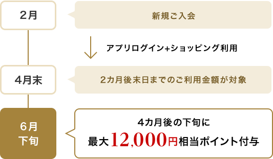 2月 新規ご入会 アプリログイン+ショッピング利用 4月末 2カ月後末日までのご利用金額が対象 6月下旬 4カ月後の下旬に最大12,000円相当ポイント付与