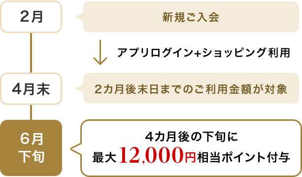 2月 新規ご入会 アプリログイン+ショッピング利用 4月末 2カ月後末日までのご利用金額が対象 6月下旬 4カ月後の下旬に最大12,000円相当ポイント付与