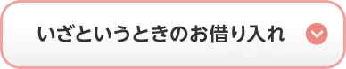 いざというときのお借り入れ