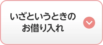 いざというときのお借り入れ