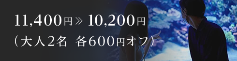 11,400円 10,200円(大人2名 各600円オフ)