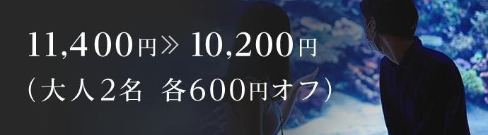 11,400円 10,200円(大人2名 各600円オフ)