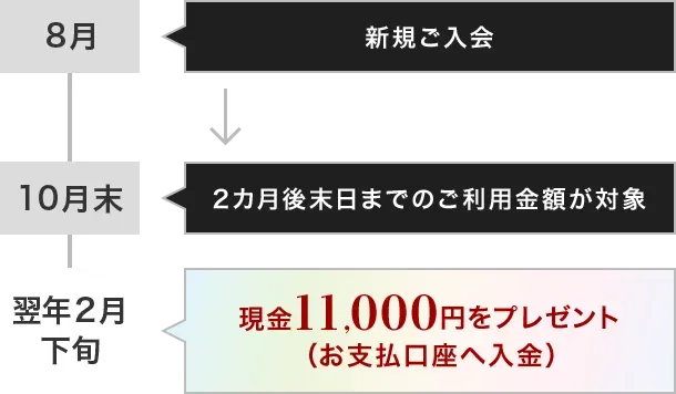8月 新規ご入会 5万円以上のショッピングご利用 10月末 2カ月後末日までのご利用金額が対象 翌年2月下旬 現金11,000円をプレゼント（お支払口座へ入金）