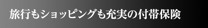 旅行もショッピングも充実の付帯保険