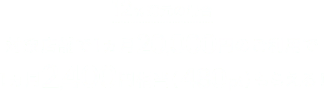 12%還元の場合対象店舗で1ヵ月20,000円のご利用で1ヵ月2,400円相当（480pt）もらえる！