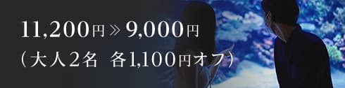 11,200円 9,000円(大人2名 各1,100円オフ)