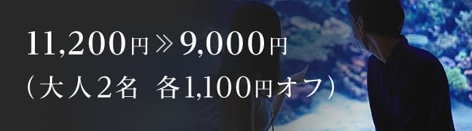 11,200円 9,000円(大人2名 各1,100円オフ)