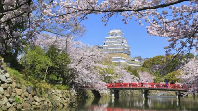 パッケージツアーも、自由旅行も