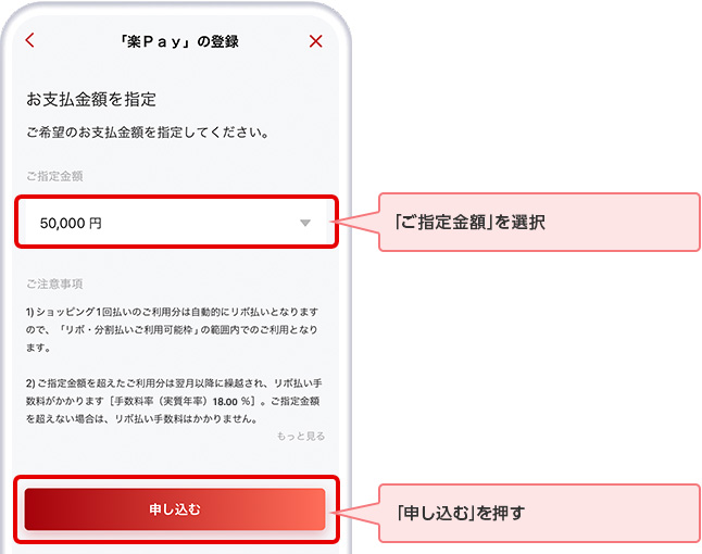 「ご指定金額」を選択 「申し込む」を押す