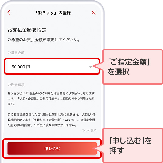 「ご指定金額」を選択 「申し込む」を押す