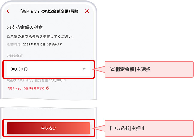 「ご指定金額」を選択 「申し込む」を押す