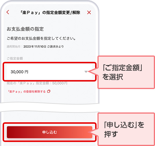 「ご指定金額」を選択 「申し込む」を押す