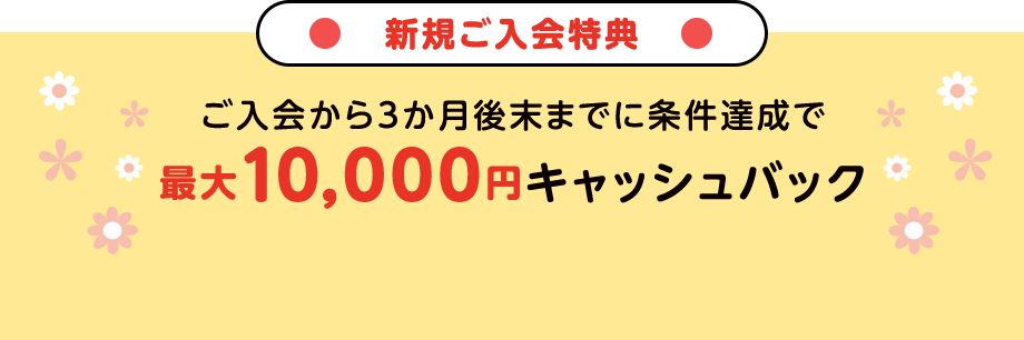 新規ご入会特典