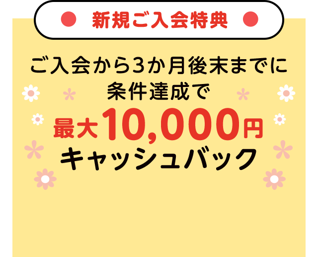 新規ご入会特典