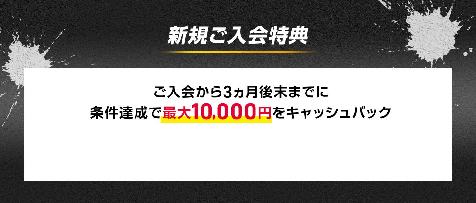 新規ご入会特典