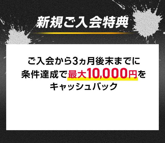 新規ご入会特典
