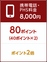 携帯電話・PHS料金8,000円 80ポイント（40ポイント×2）ポイント2倍