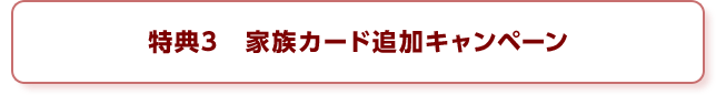 特典3 家族カード追加キャンペーン
