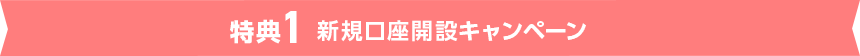 特典1 新規口座開設キャンペーン
