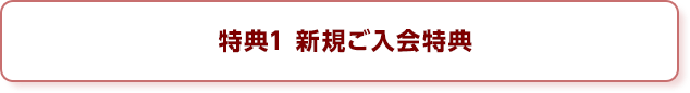 特典1 新規ご入会特典