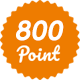 800 Point