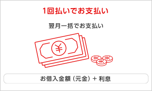 1回払いでお支払い